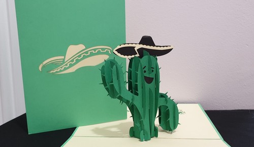 Pop kaktus sombrero - 3d, kaktus/sombrero